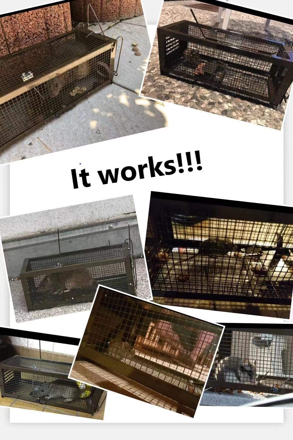 2 Stück XXL Lebendfallen Für Ratten & Mäuse – Tierfreundlich, Aus Metall, Wiederverwendbar Für Innen & Außen