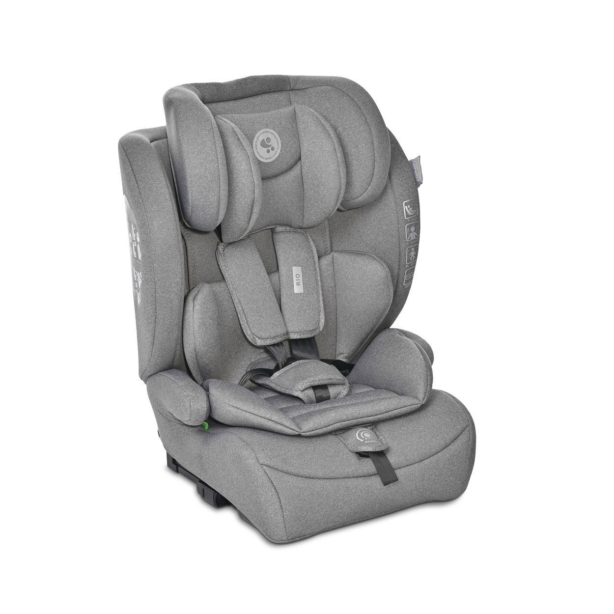 Lorelli Kindersitz Rio i-Size (76 - 150 cm) Isofix Top Tether Kissen verstellbar grau - Bild 1