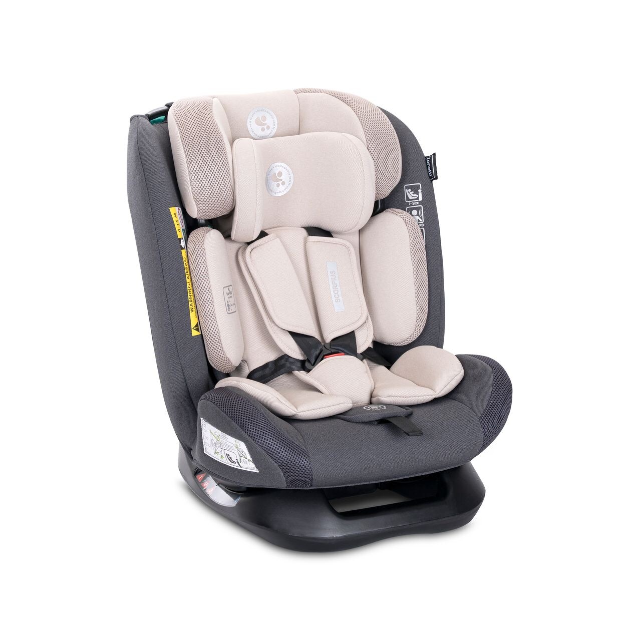 Lorelli Kindersitz Scorpius i-Size (40-150cm) verstellbar 5-Punkt-Gurt bis 36 kg beige grau