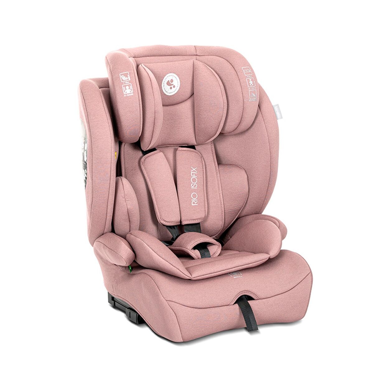 Lorelli Kindersitz Rio i-Size (76 – 150 cm) Isofix Top Tether Kissen verstellbar pink | 03800166124445