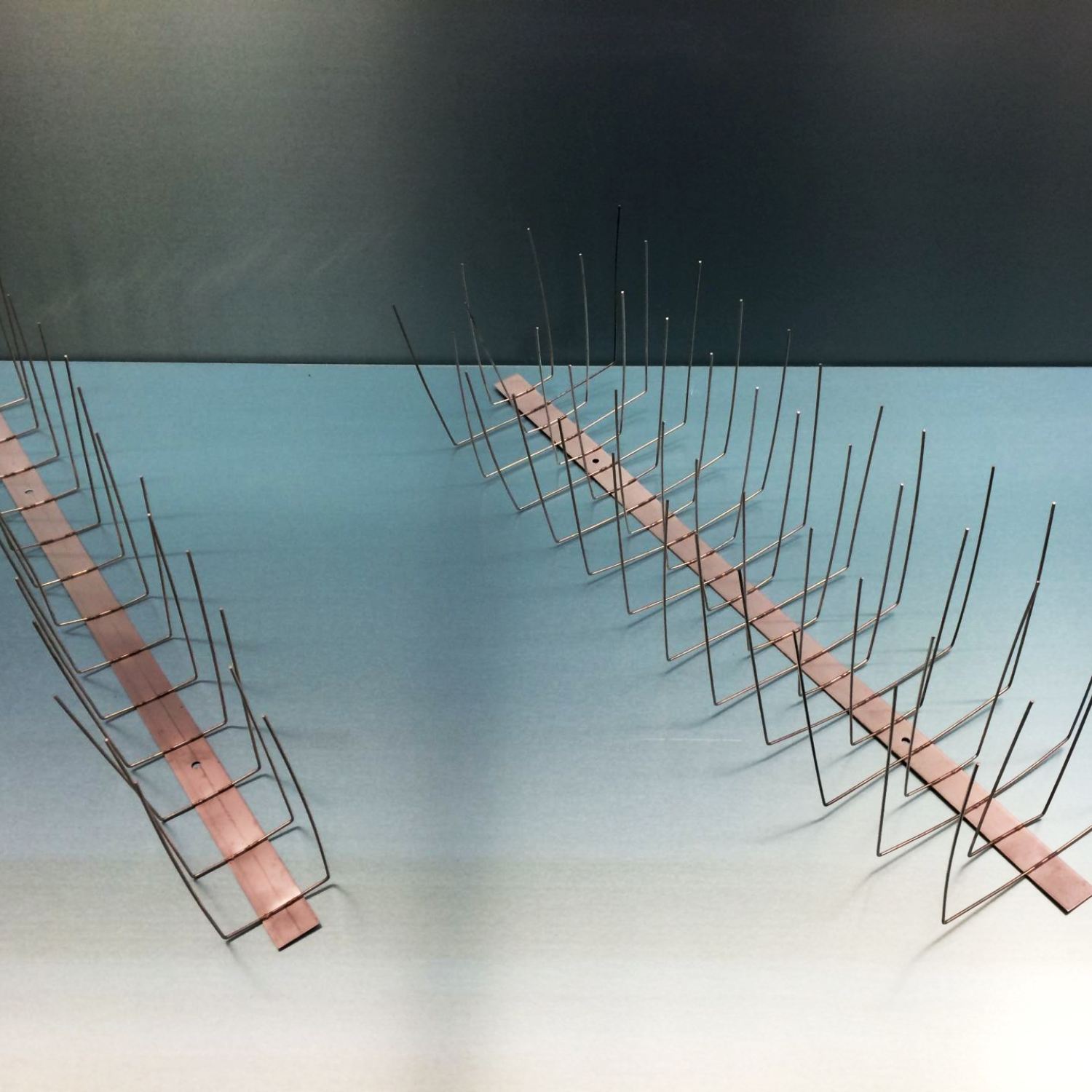 Taubenabwehr aus Edelstahl V2A 2-reihig - Bild 1