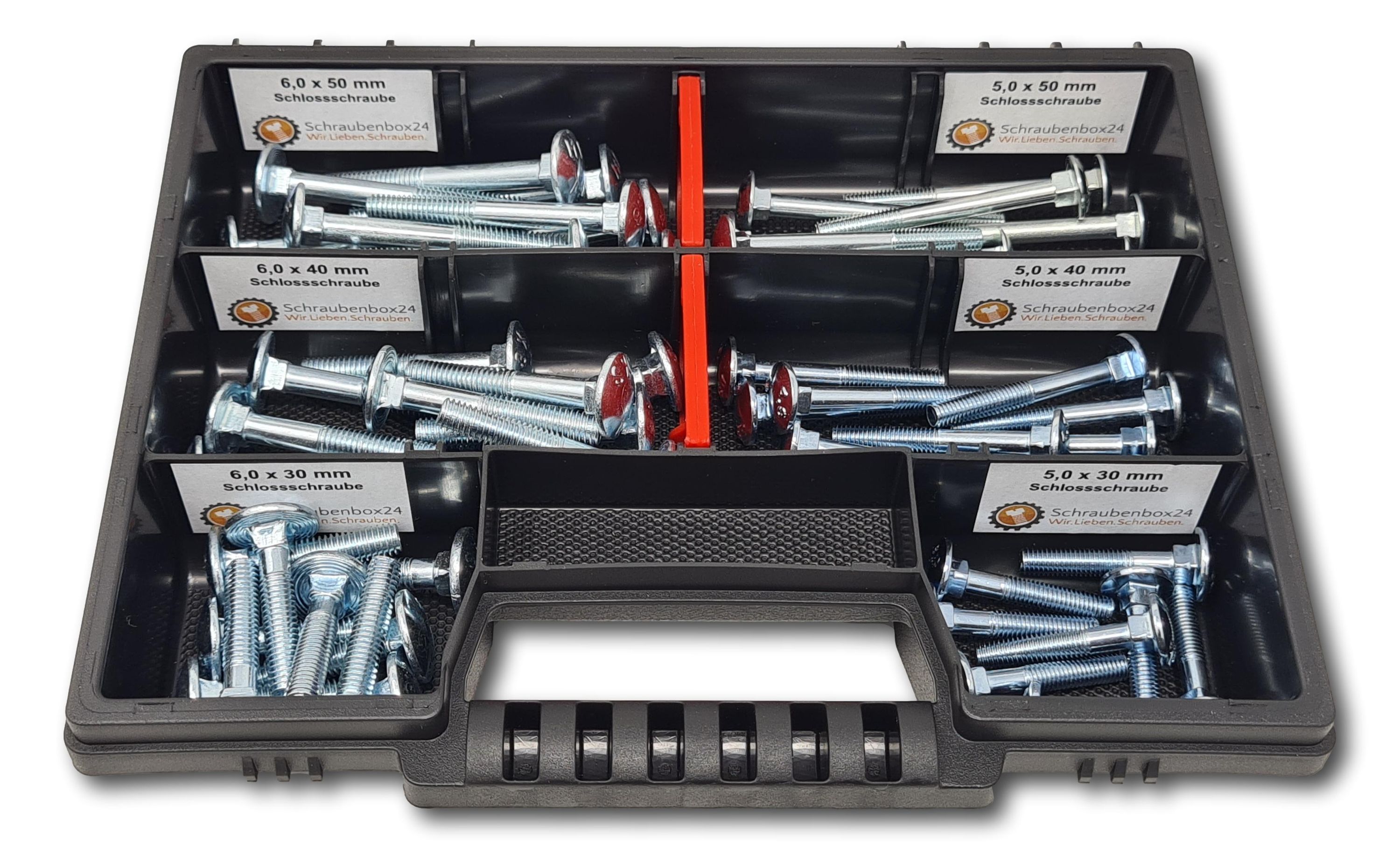 Flachkopfschrauben Sortiment M5-M6 // 30mm-50mm 60 tlg. Schraubenbox DIN 603 Bolzen Vollgewindeschrauben Maschinenschrauben Gewindeschrauben Flachkopfschrauben - Bild 1
