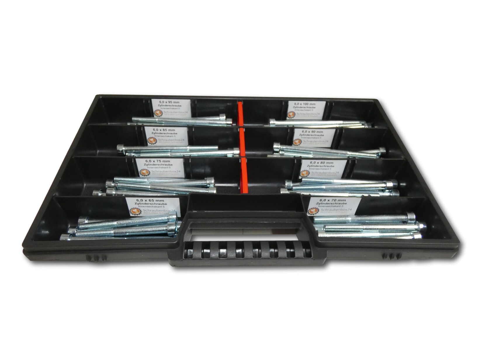 80 tlg Zylinderschrauben Sortiment M6 // 65mm-100mm Schrauben Set Schraubenbox DIN 912/ISO4762 Bolzen Vollgewindeschrauben Maschinenschrauben Gewindeschrauben Zylinderkopfschrauben | 04270002651289