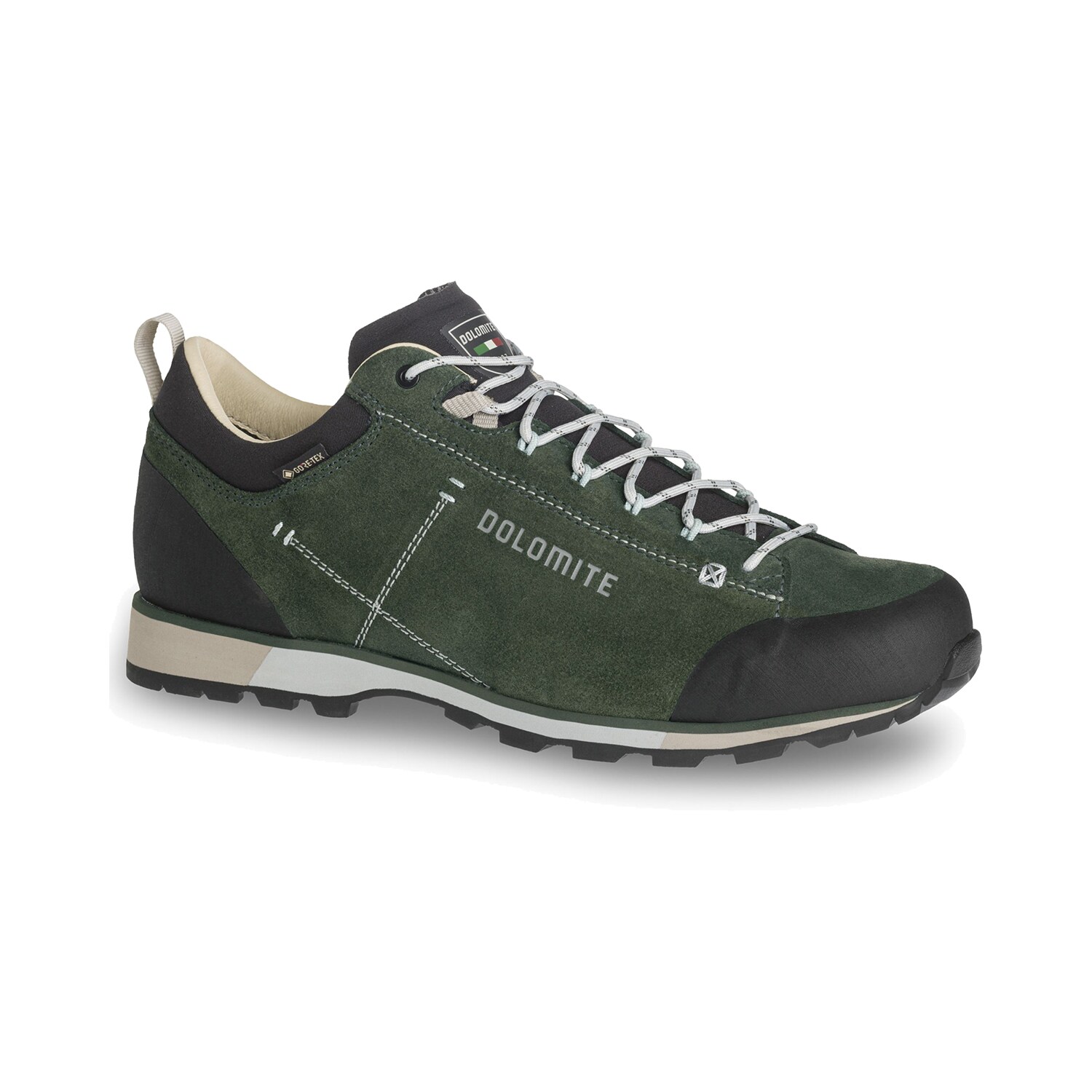 Dolomite 54 Hike Low Evo GTX Herren Wanderschuhe | 07616185028888