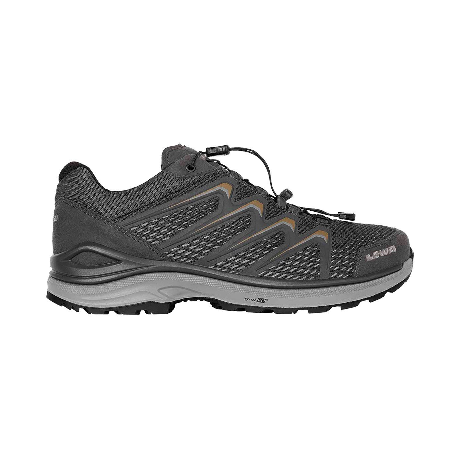 Meadow GTX Lo SL Gr. 46 | 04063606844504