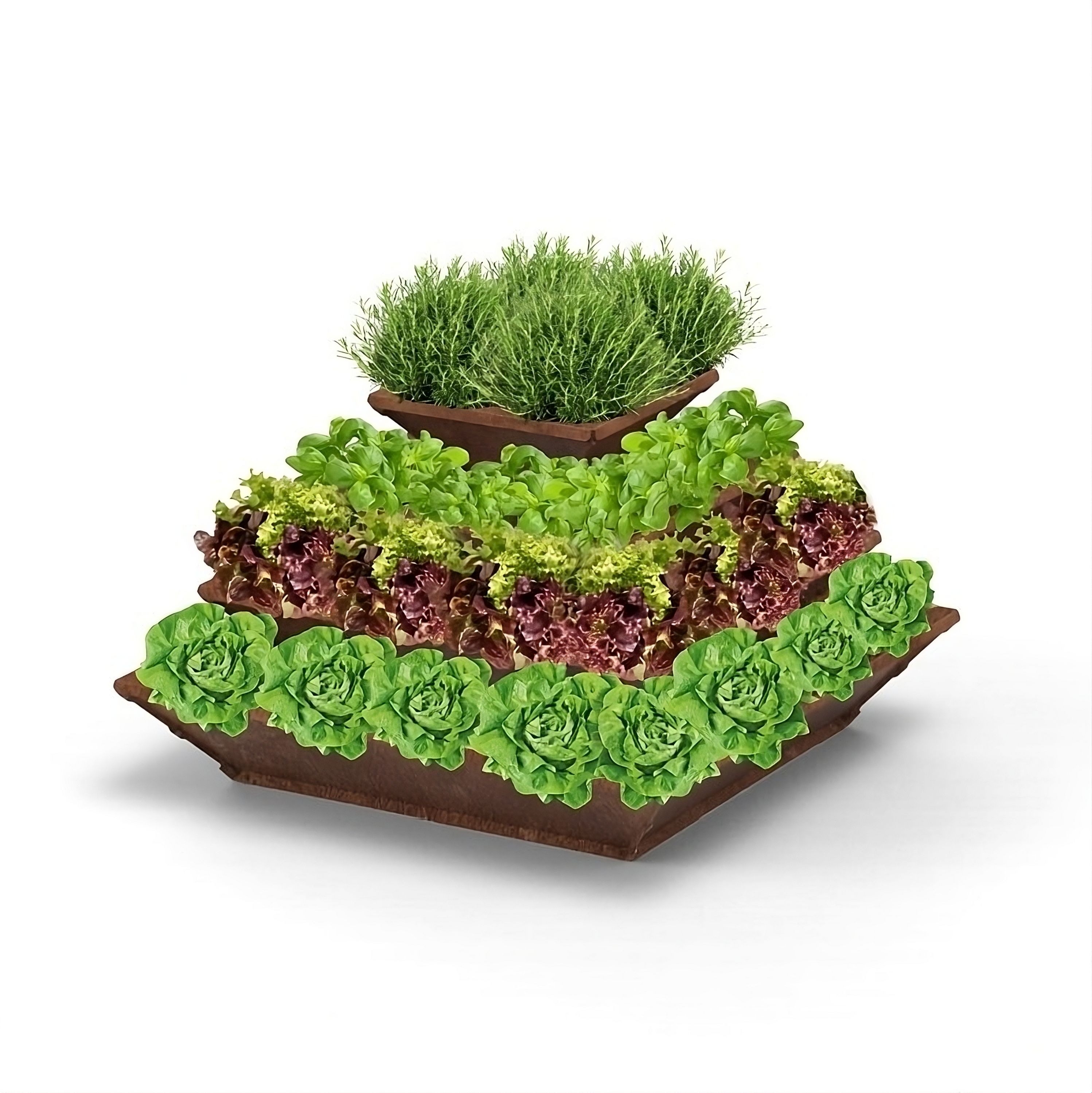 Hochbeet "HighBeet" Cleo 4 Ebenen - Bild 1