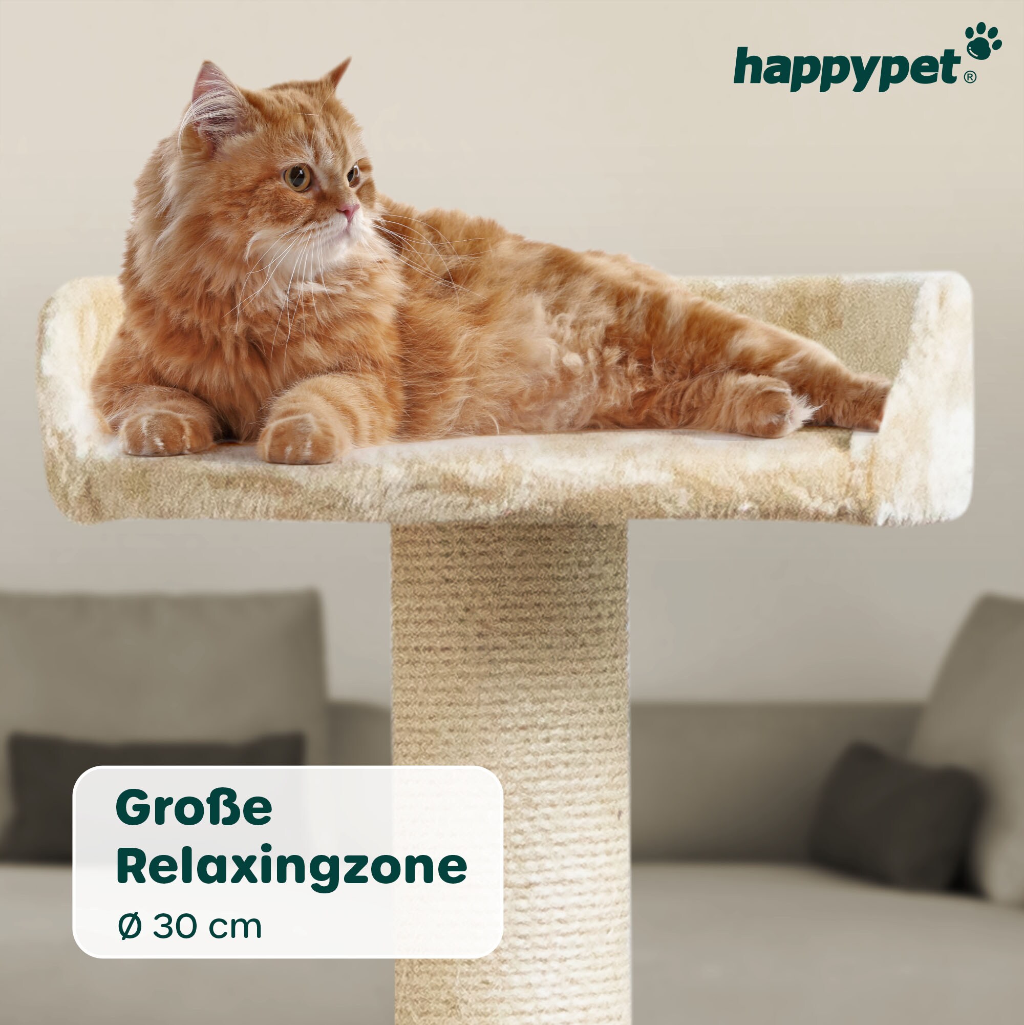 getreidefreies hundefutter fr senioren Hundefutter Lachs & Forelle Senior & Light Probe