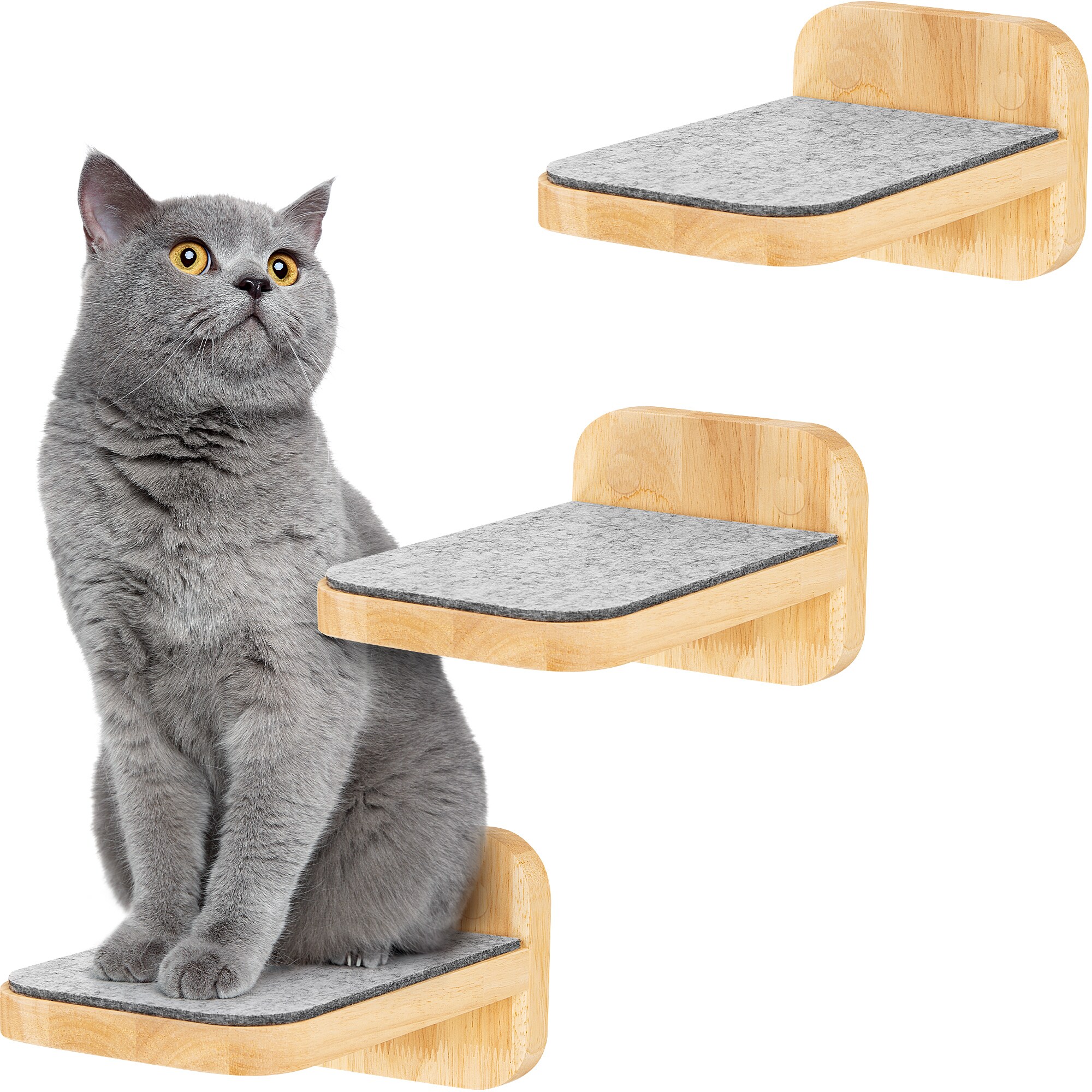 HAPPYPET Katzentreppen 3er-Set f&uuml;r Wandmontage - Nachhaltiges Hartholz, Designer Kletterwand Katzen, Katzentreppe mit Filzbezug, Katzenleiter, Katzenwand zum Klettern, Catwalk | Natur  3x Stufen M - Bild 1