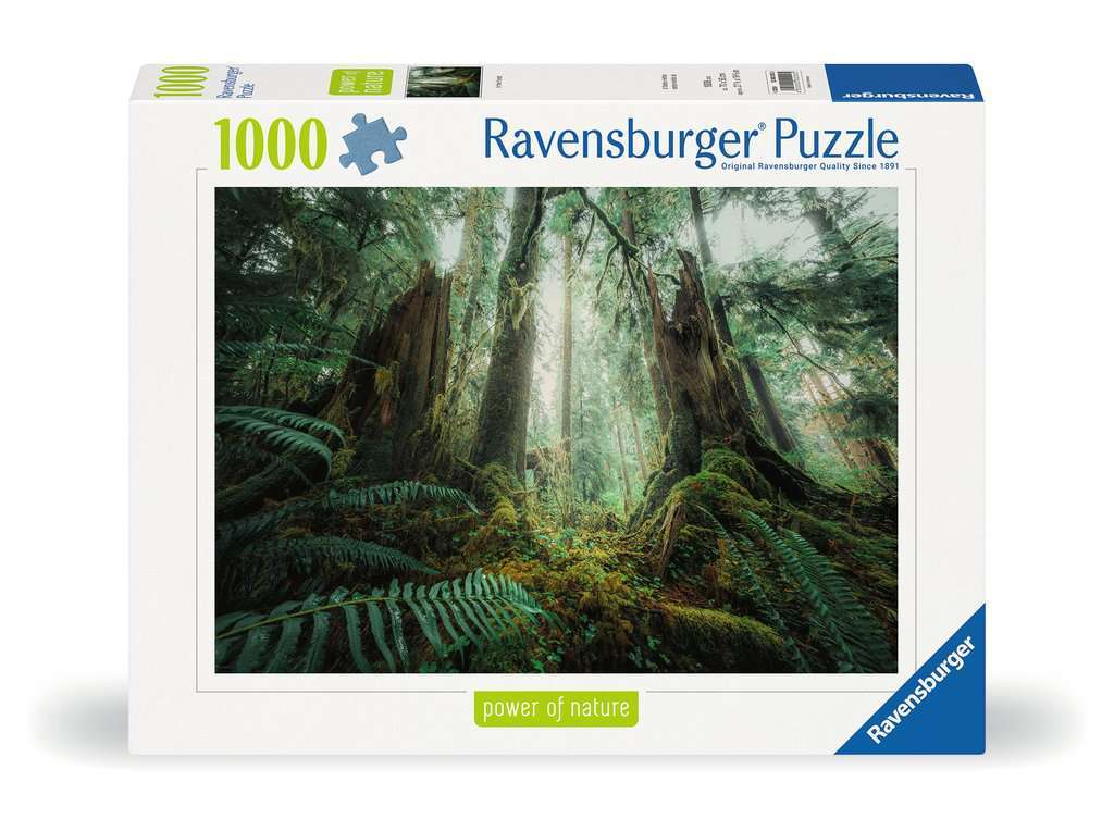Ravensburger Spiel Faszinierender Wald - Bild 1