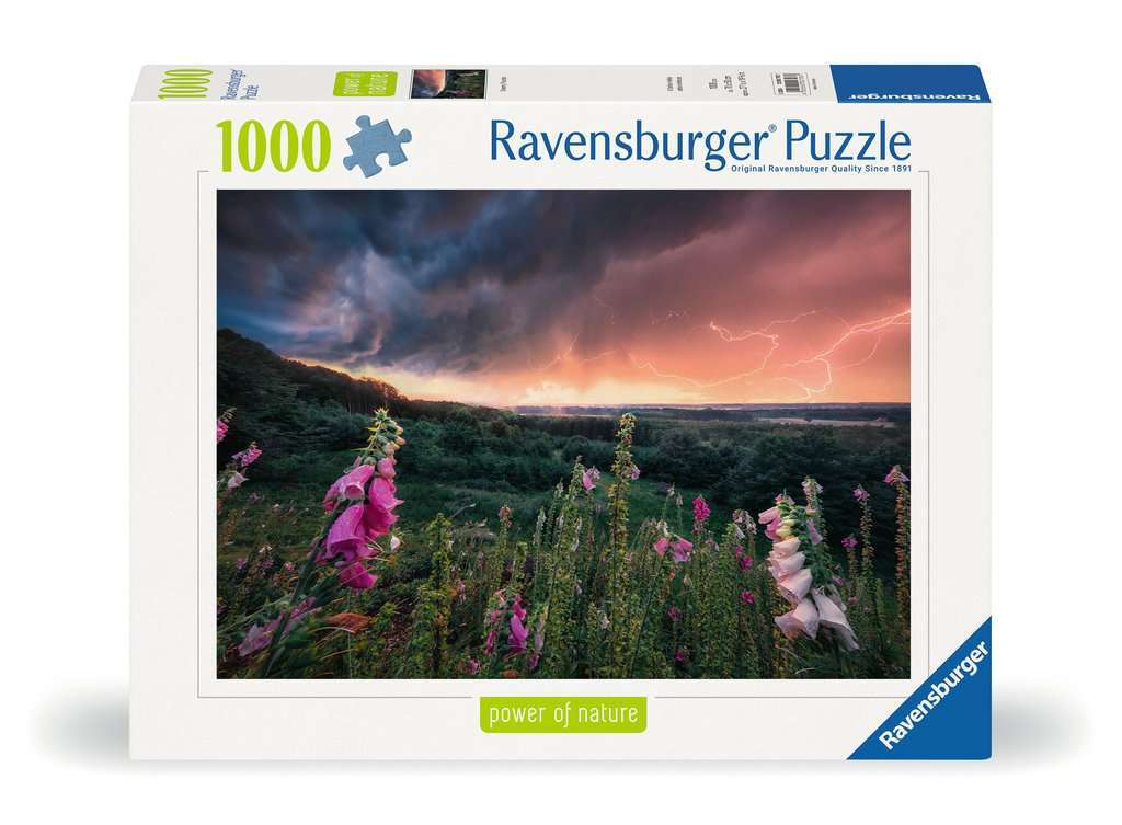 Ravensburger Spiel Ein Sturm zieht auf - Bild 1