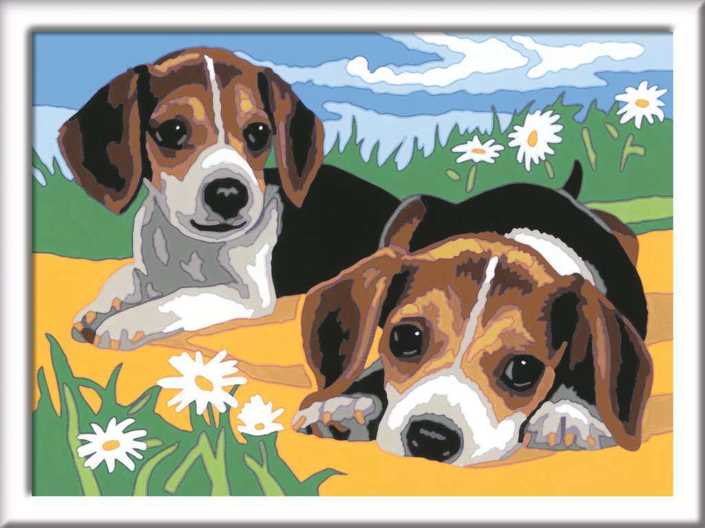 Ravensburger Spiel Jack Russell Welpen - Bild 1