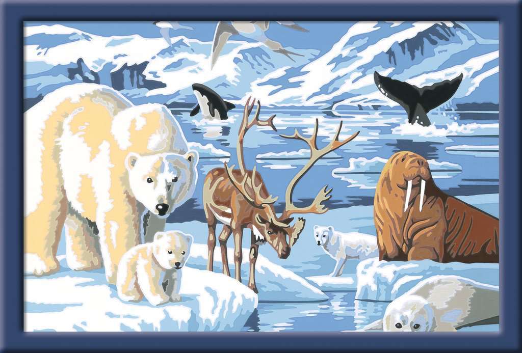 Ravensburger Spiel Tiere der Arktis - Bild 1