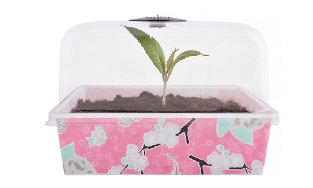 3-er Set Blumentopf 22x17x15 cm Jet-Line Anzucht Topf - Bild 1