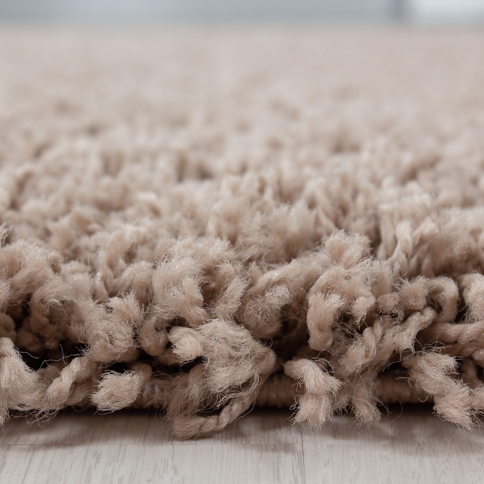 Teppich Hochflor RHEIN in Beige, einfarbig, 120 x 170 cm