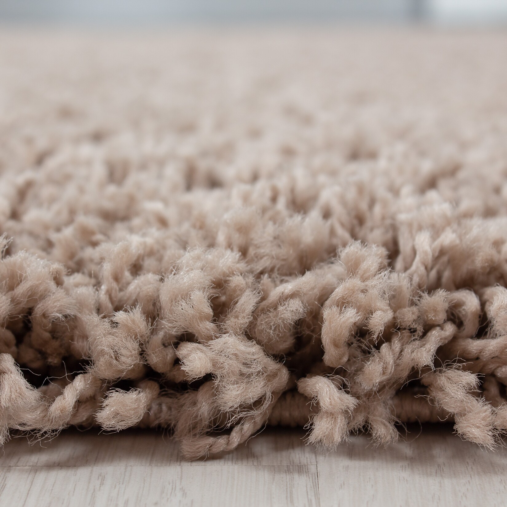 Teppich Hochflor RHEIN in Beige, einfarbig, 240 x 340 cm