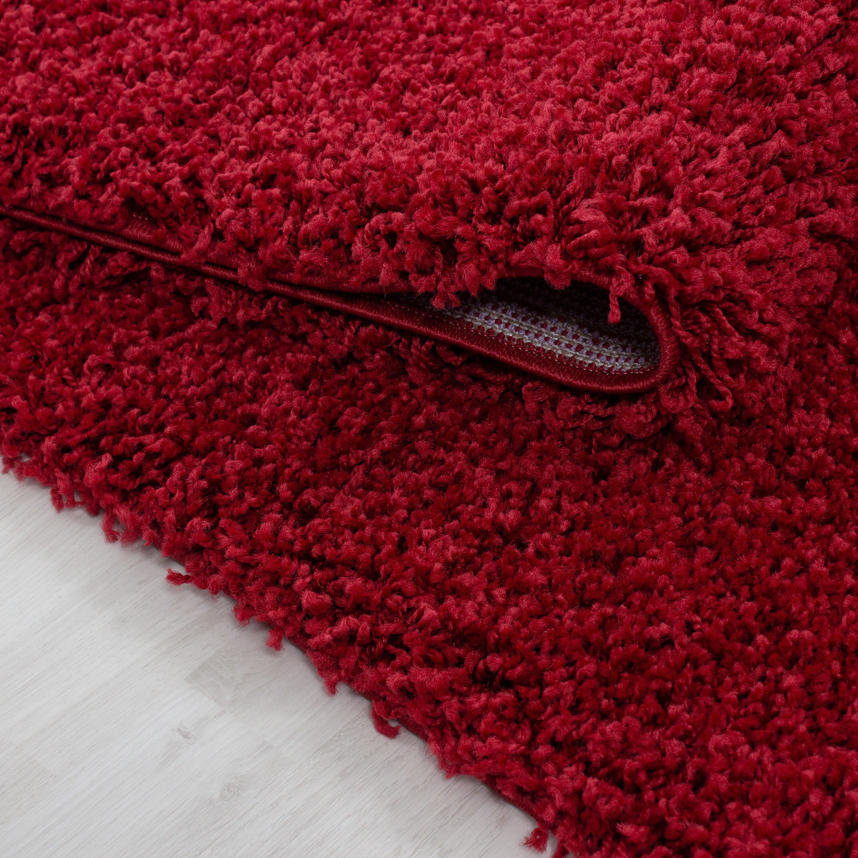 Hochflorteppich RHEIN, einfarbig, aus Polypropylen, Rot, 300 x 400 cm online kaufen bei Netto