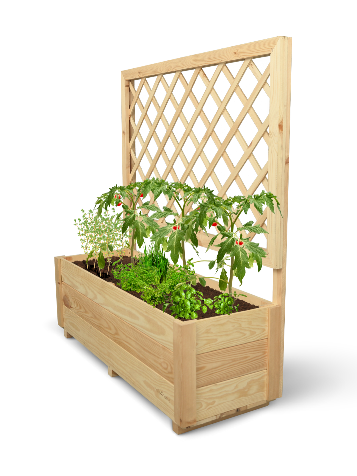 holz4home&reg; Pflanzkasten mit Rankgitter M | M - Bild 1