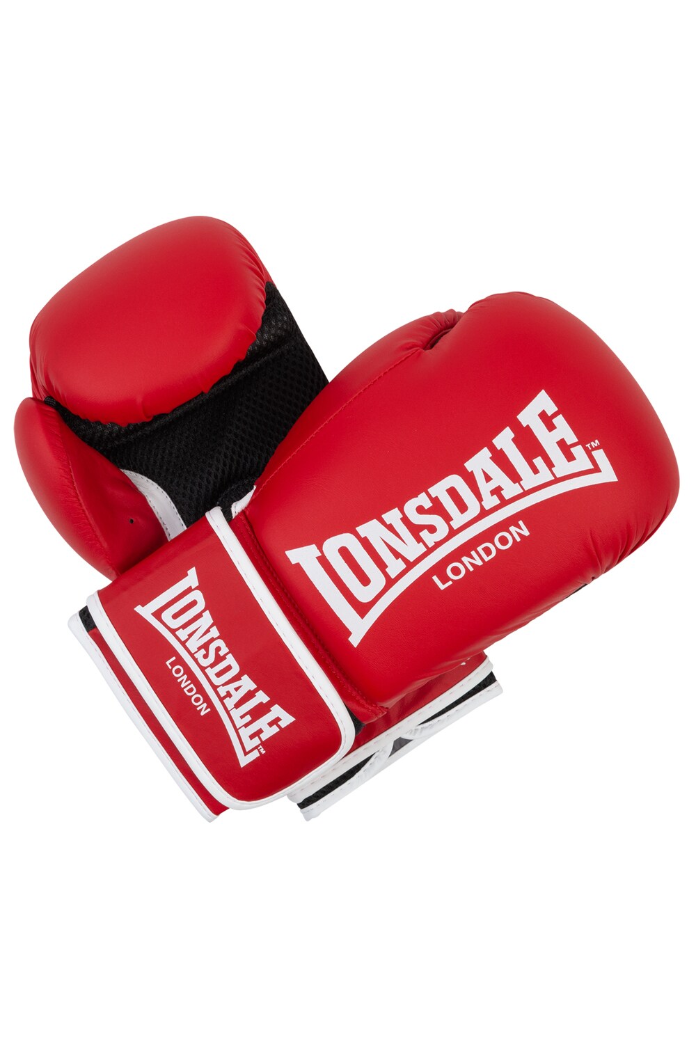 Lonsdale Boxhandschuhe aus Kunstleder ASHDON