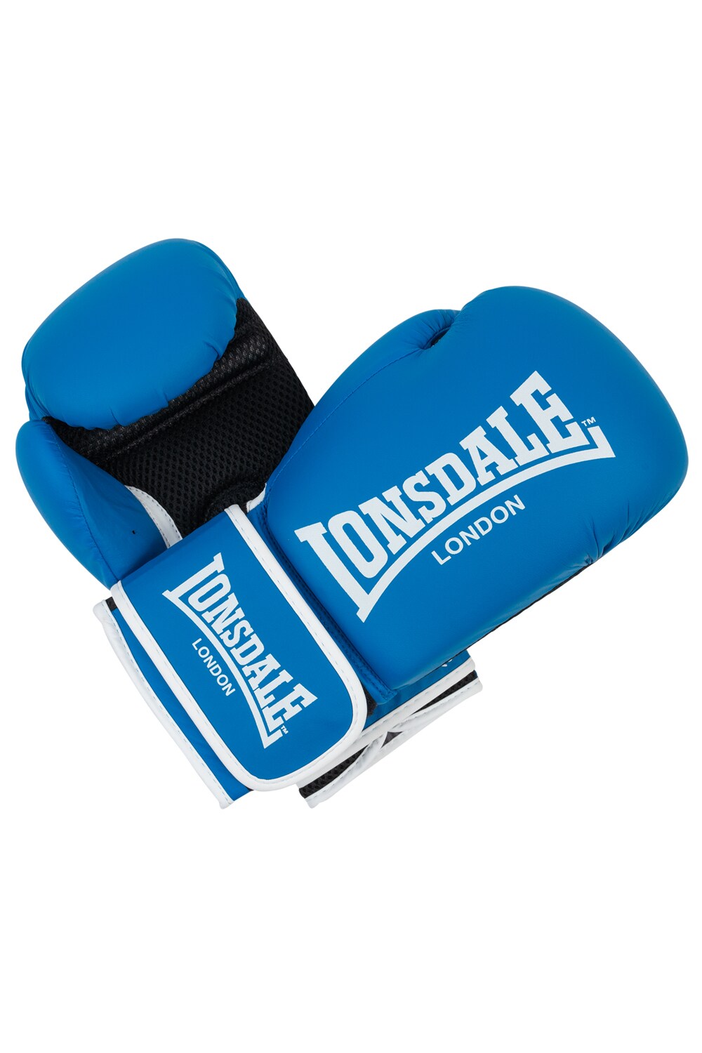 Lonsdale Boxhandschuhe aus Kunstleder ASHDON