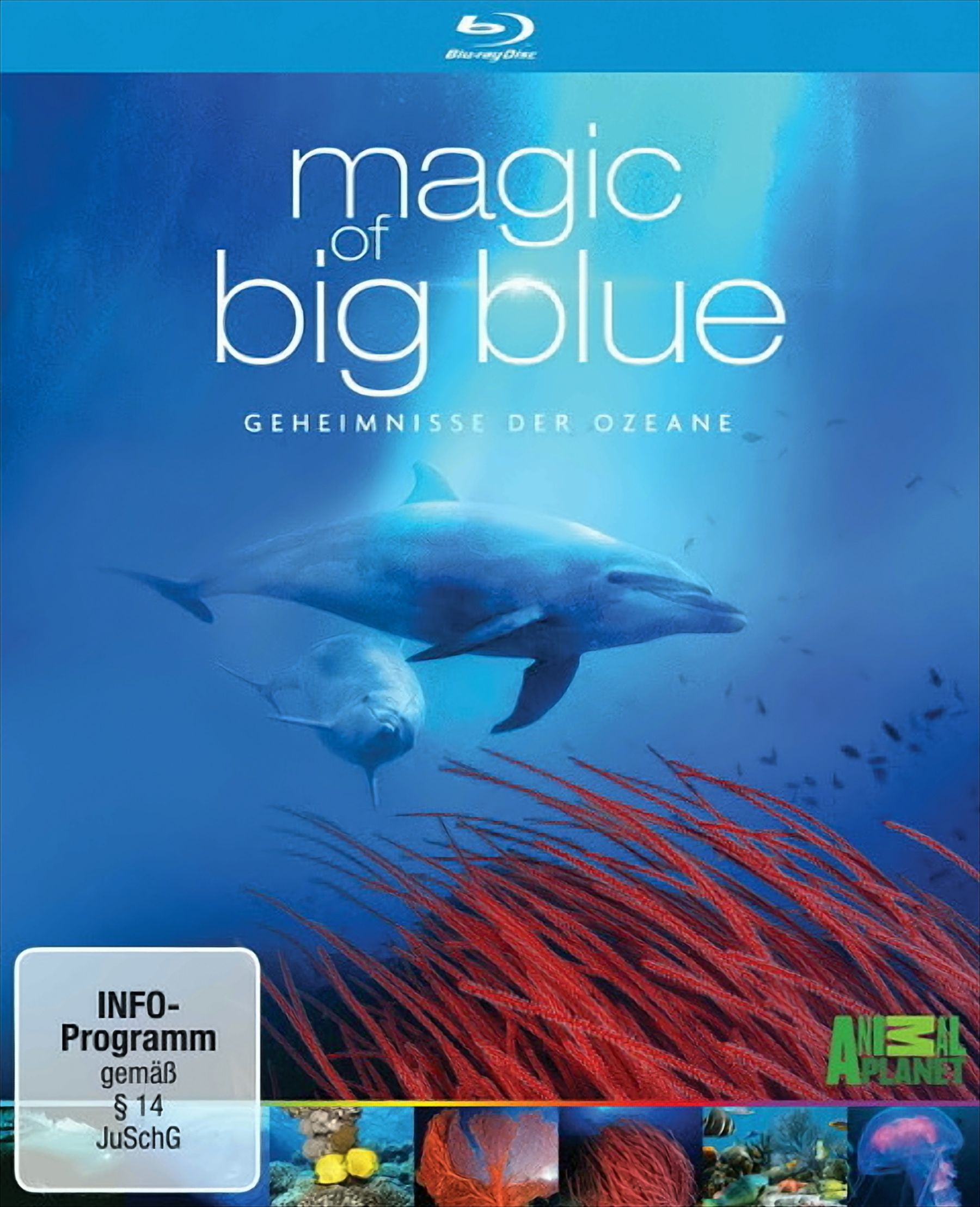 Magic of Big Blue - Geheimnisse der Ozeane (3 Discs) - Bild 1
