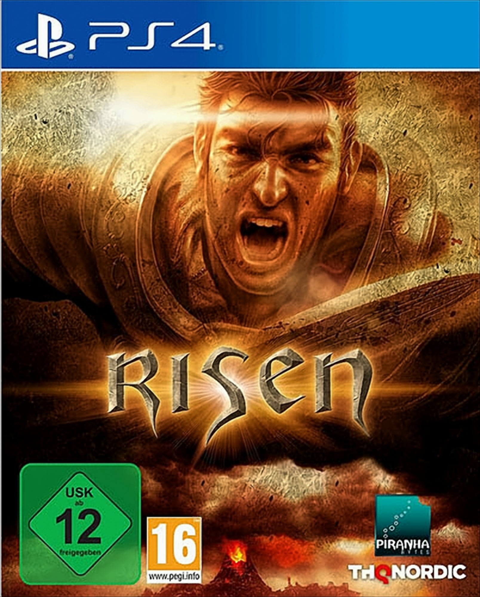 Risen PS-4 - Bild 1