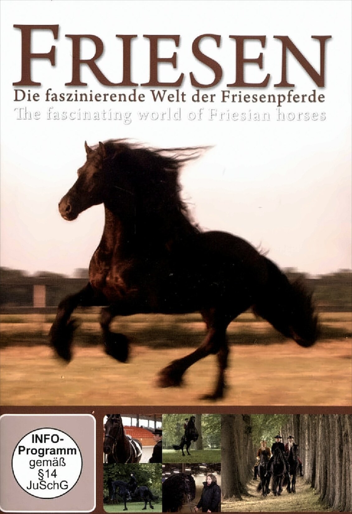 Friesen: Die faszinierende Welt der Friesenpferde | 09783000293863