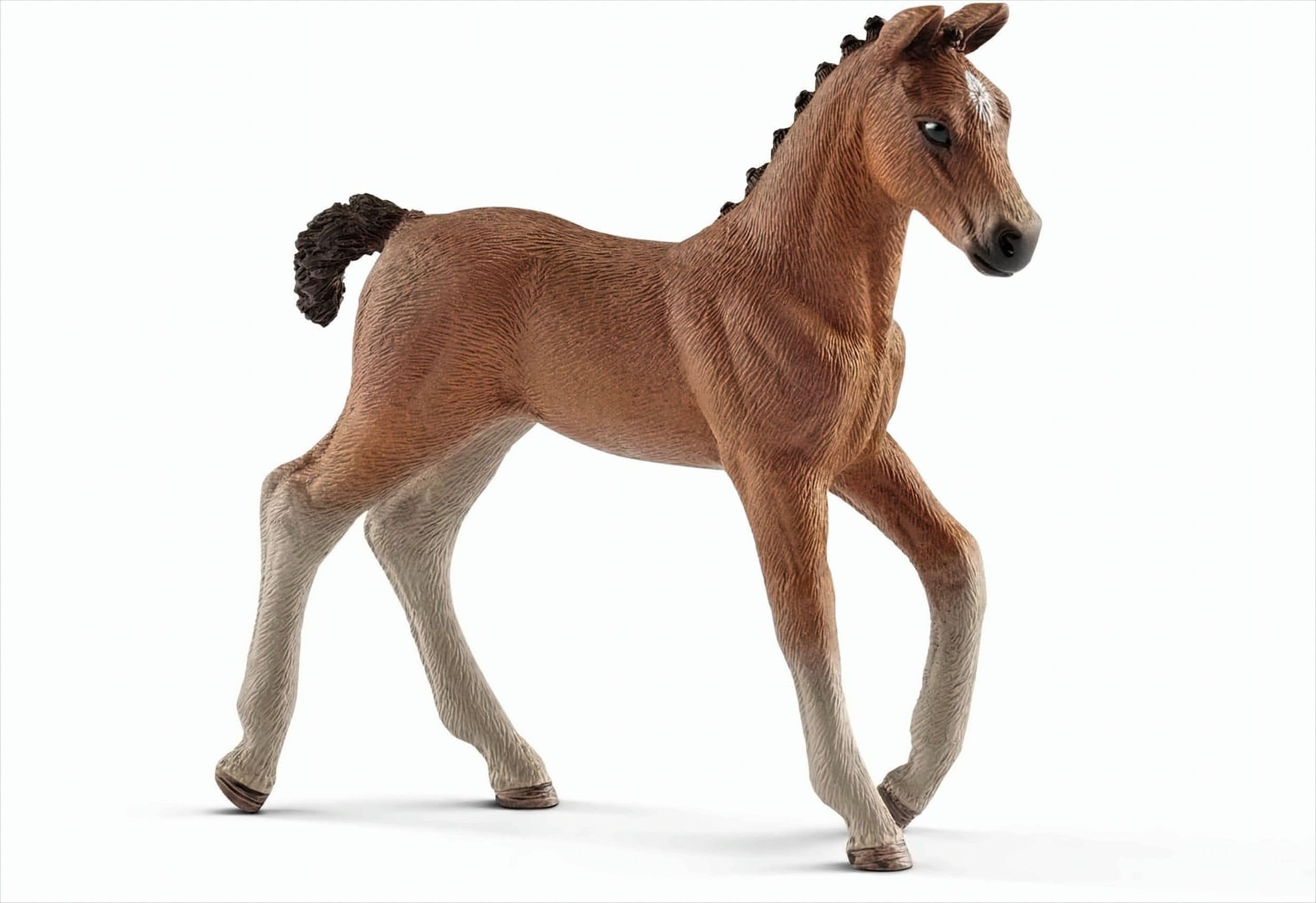 Schleich - 13818 -  Hannoveraner Fohlen - Bild 1