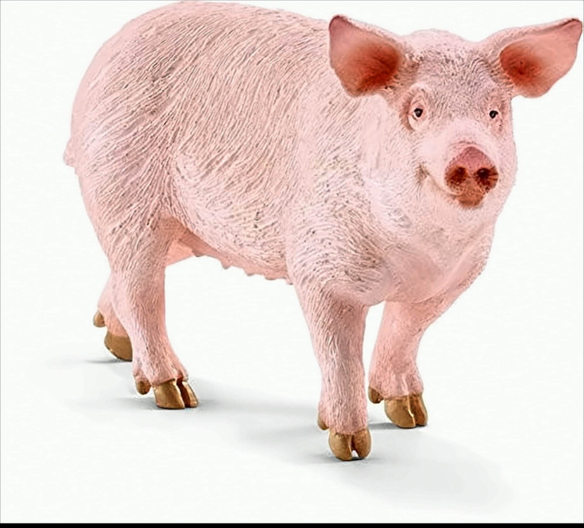 schleich 17071 Schwein Spielfigur - Bild 1