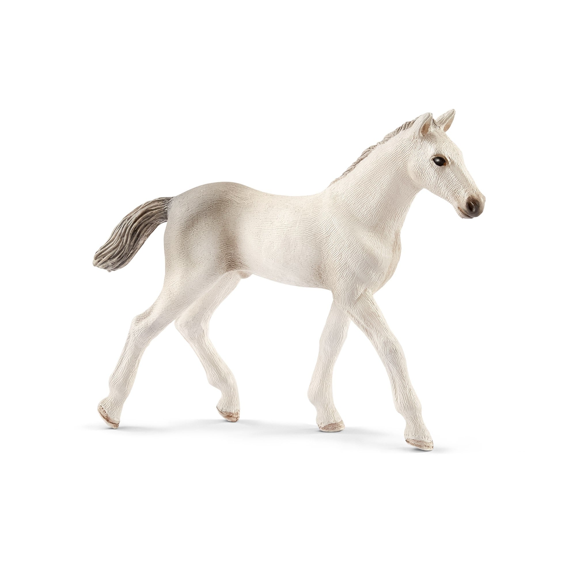 Schleich - 13860 - Holsteiner Fohlen - Bild 1
