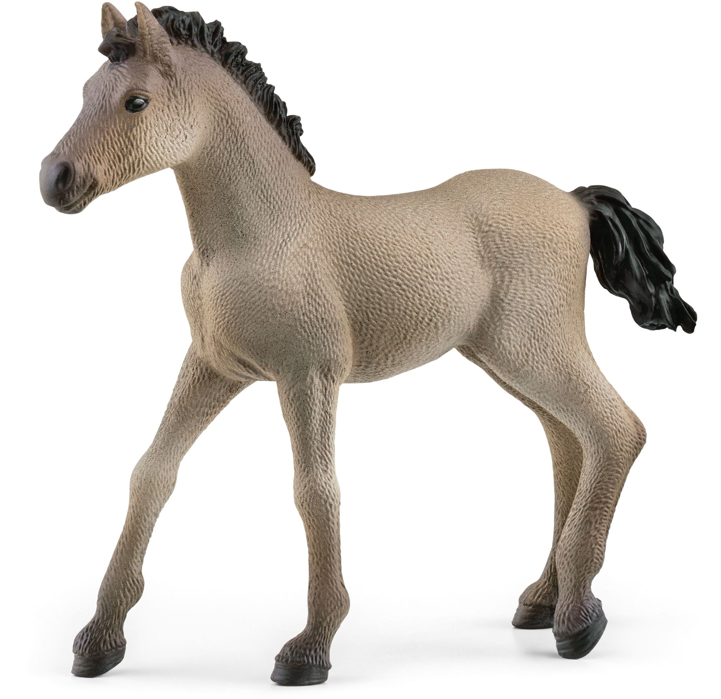 Schleich 13949 Criollo Definitivo Fohlen - Bild 1