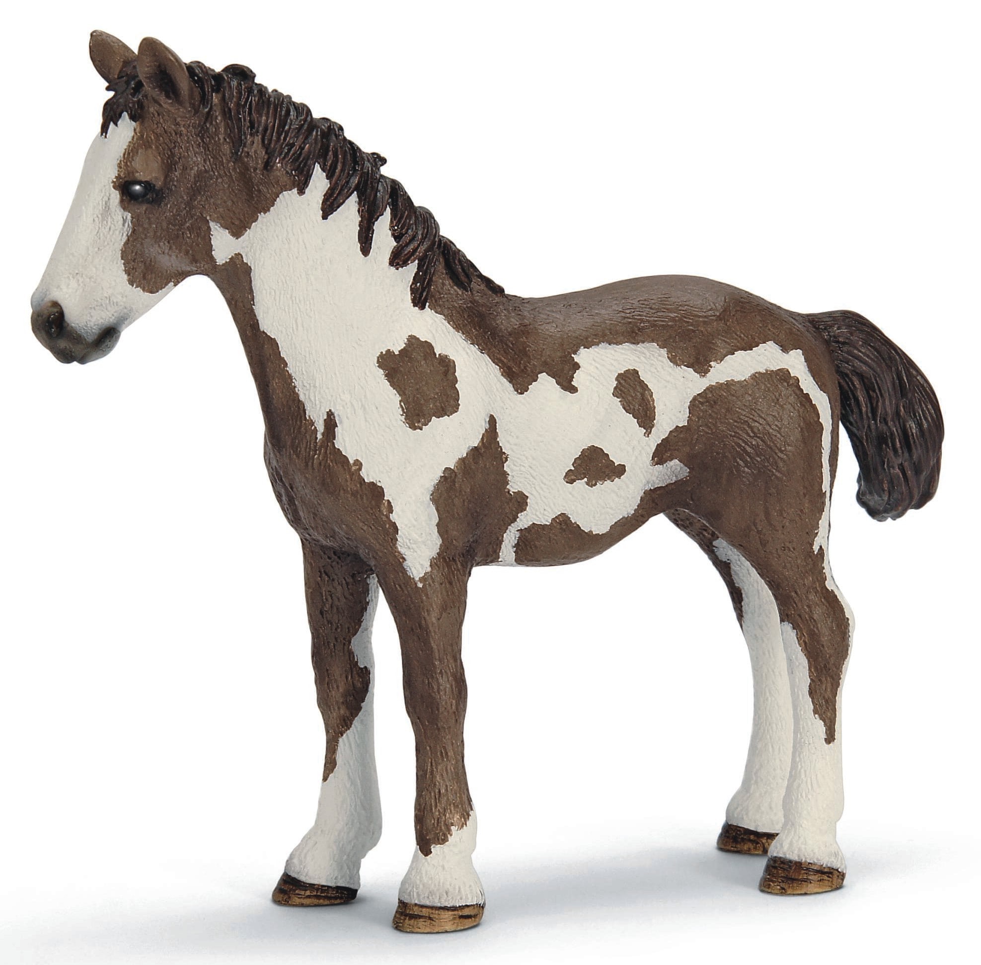 Schleich - 13695 - Farm Life - Pinto J&auml;hrling - Bild 1