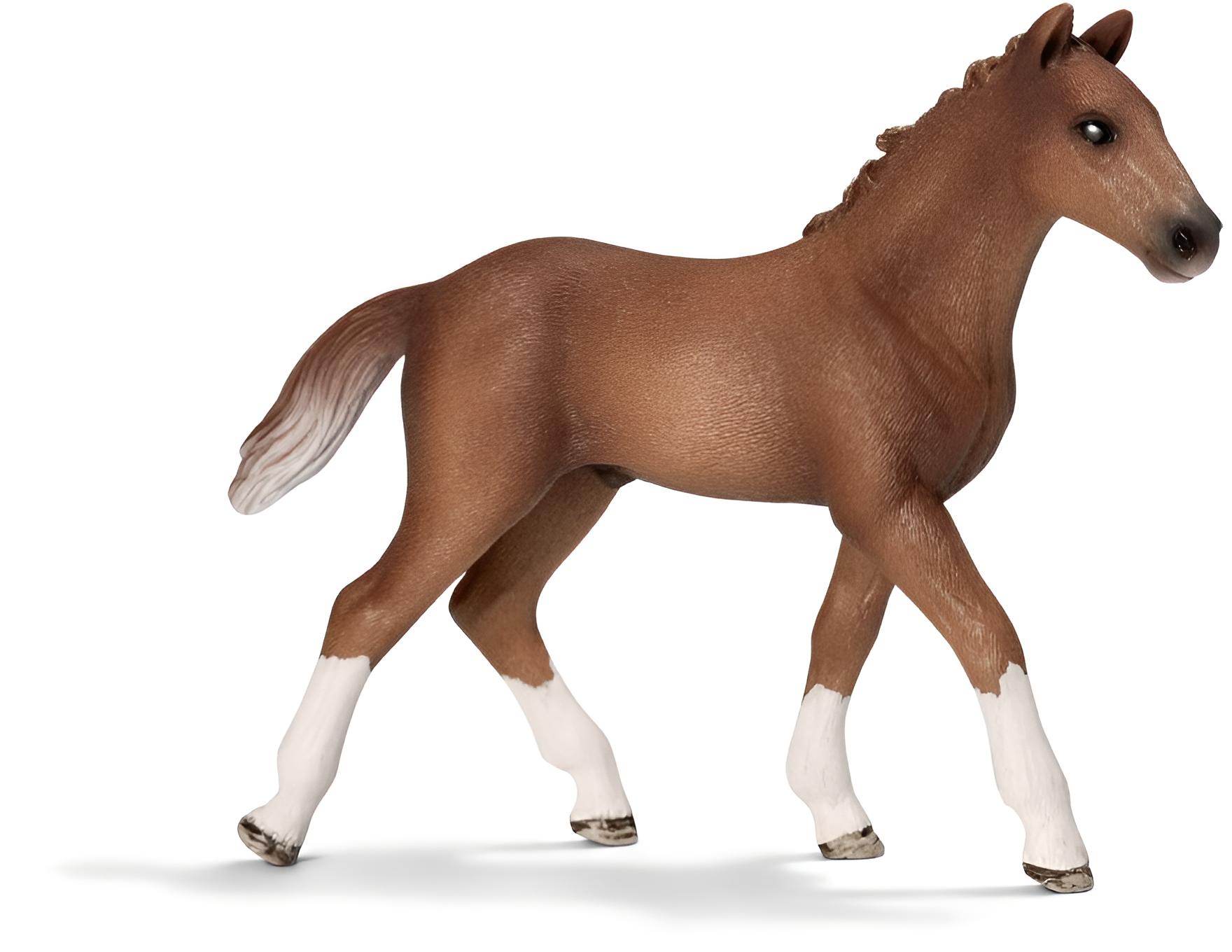 Schleich 13730 Hannoveraner Fohlen - Bild 1