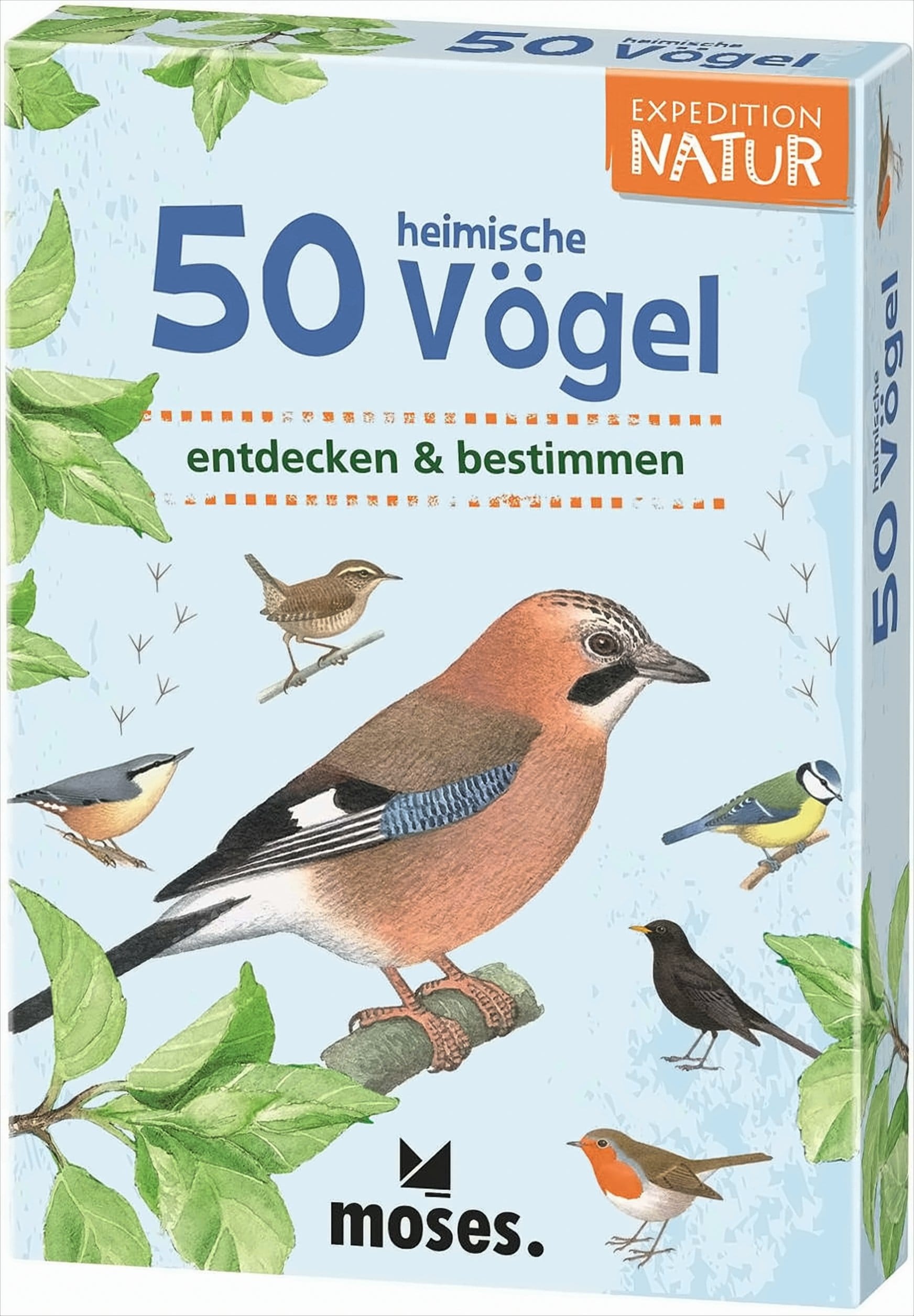Expedition Natur: 50 heimische V&ouml;gel - Bild 1