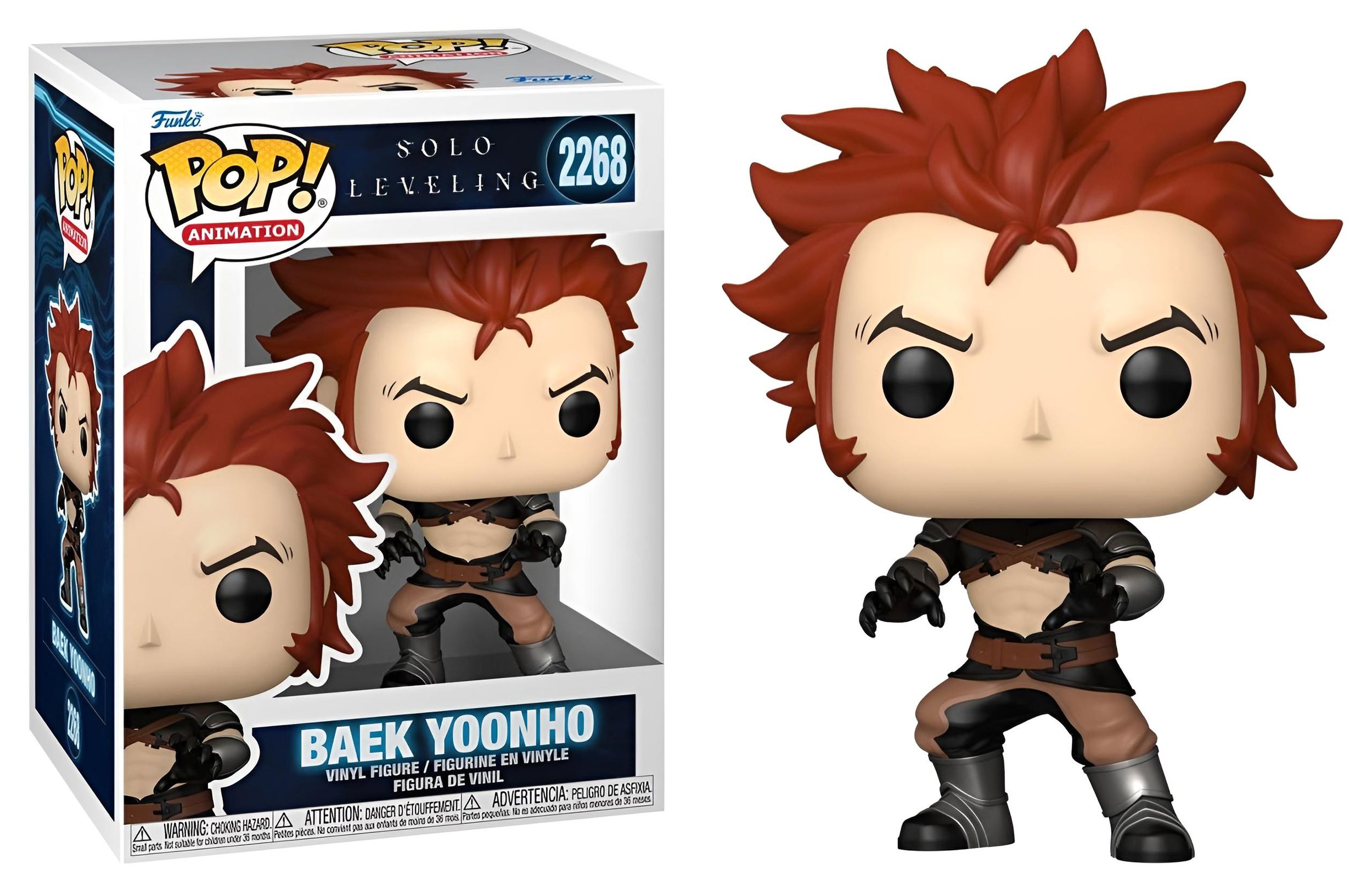 POP - Solo Leveling - Baek Yoonho - Bild 1