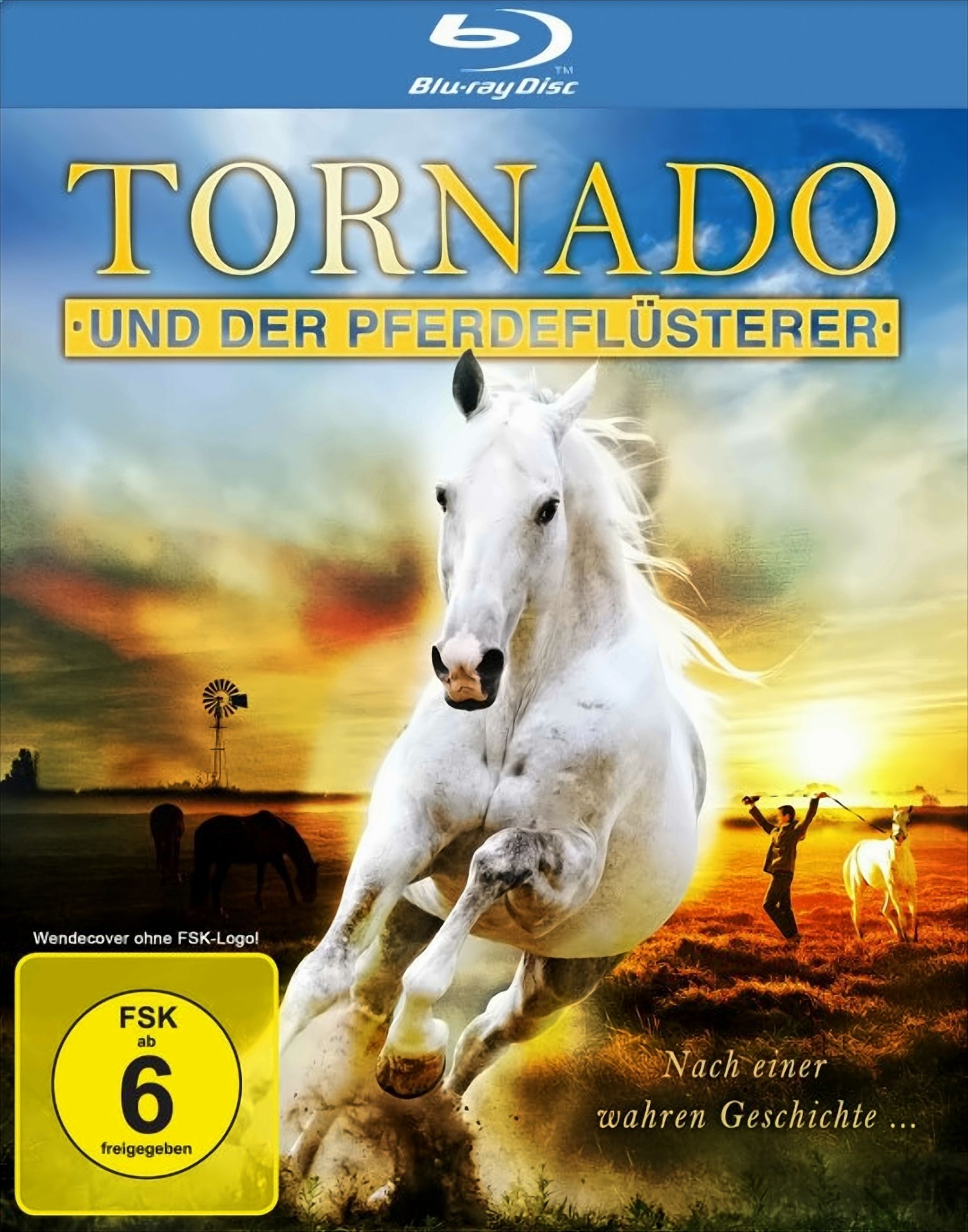 Tornado und der Pferdefl&uuml;sterer - Bild 1