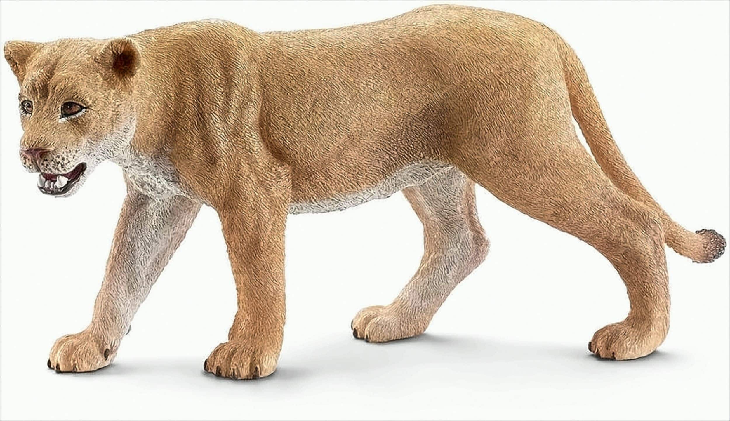 Schleich 14712 - L&ouml;win, Minifigur - Bild 1
