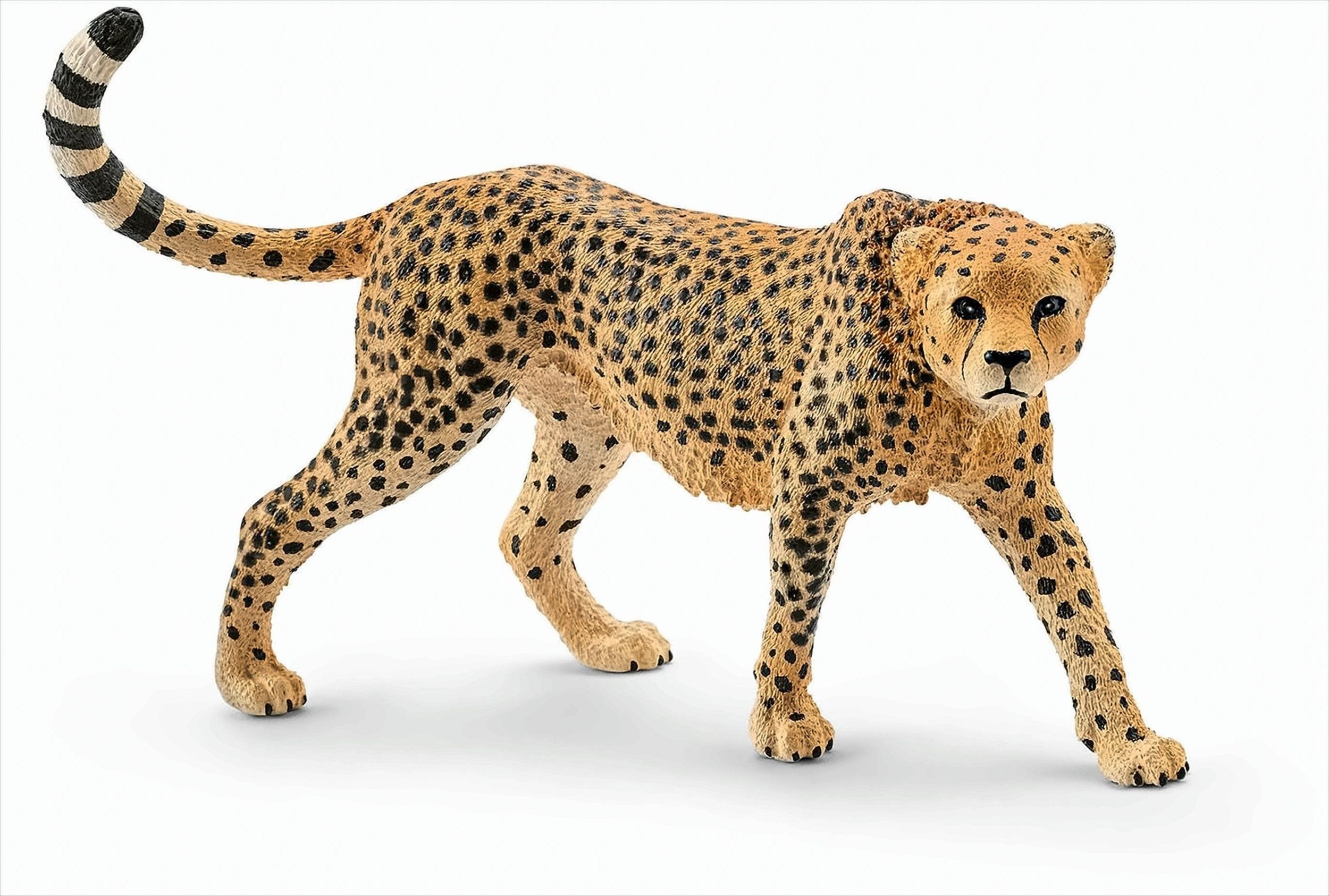 Schleich 14746 - Spielzeugfigur, Gepardin - Bild 1