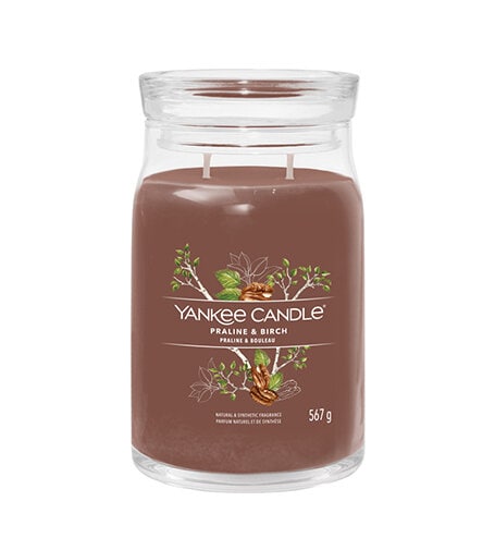 Yankee Candle Praline & Birke Signatur Kerze 567 g - Bild 1