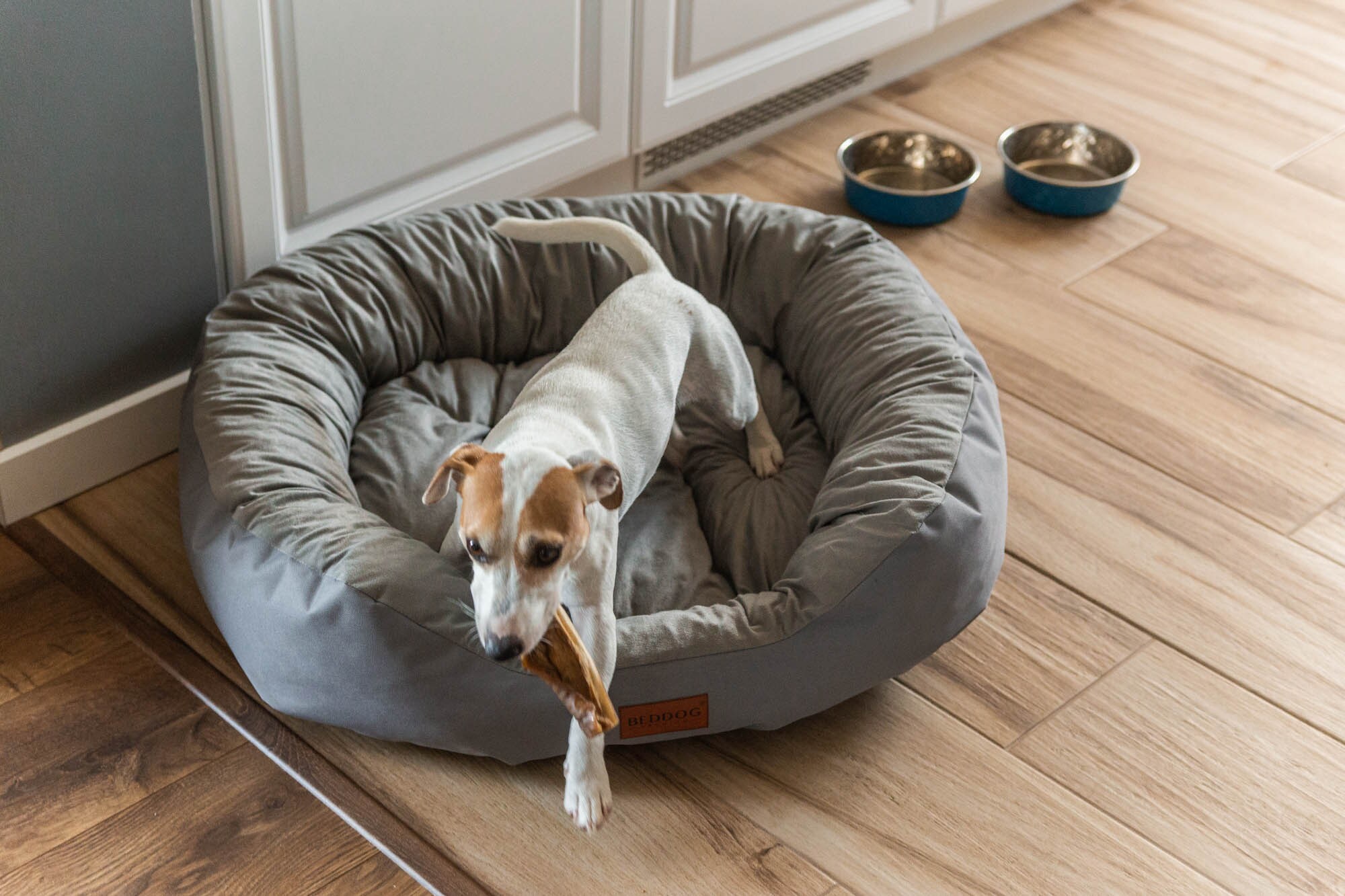 BedDog Hundebett Grosse Hunde Hundekissen Hundekorb Ovales Hundekrbchen  online kaufen bei Netto