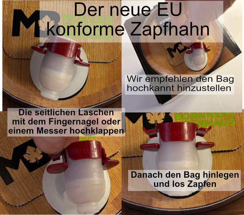 Weinhaus M&uuml;ller Bornheim Pfalz M&uuml;ller Thurgau Wei&szlig;wein halbtrocken 11,5 % vol. 5 Liter Bag in Box - Bild 1