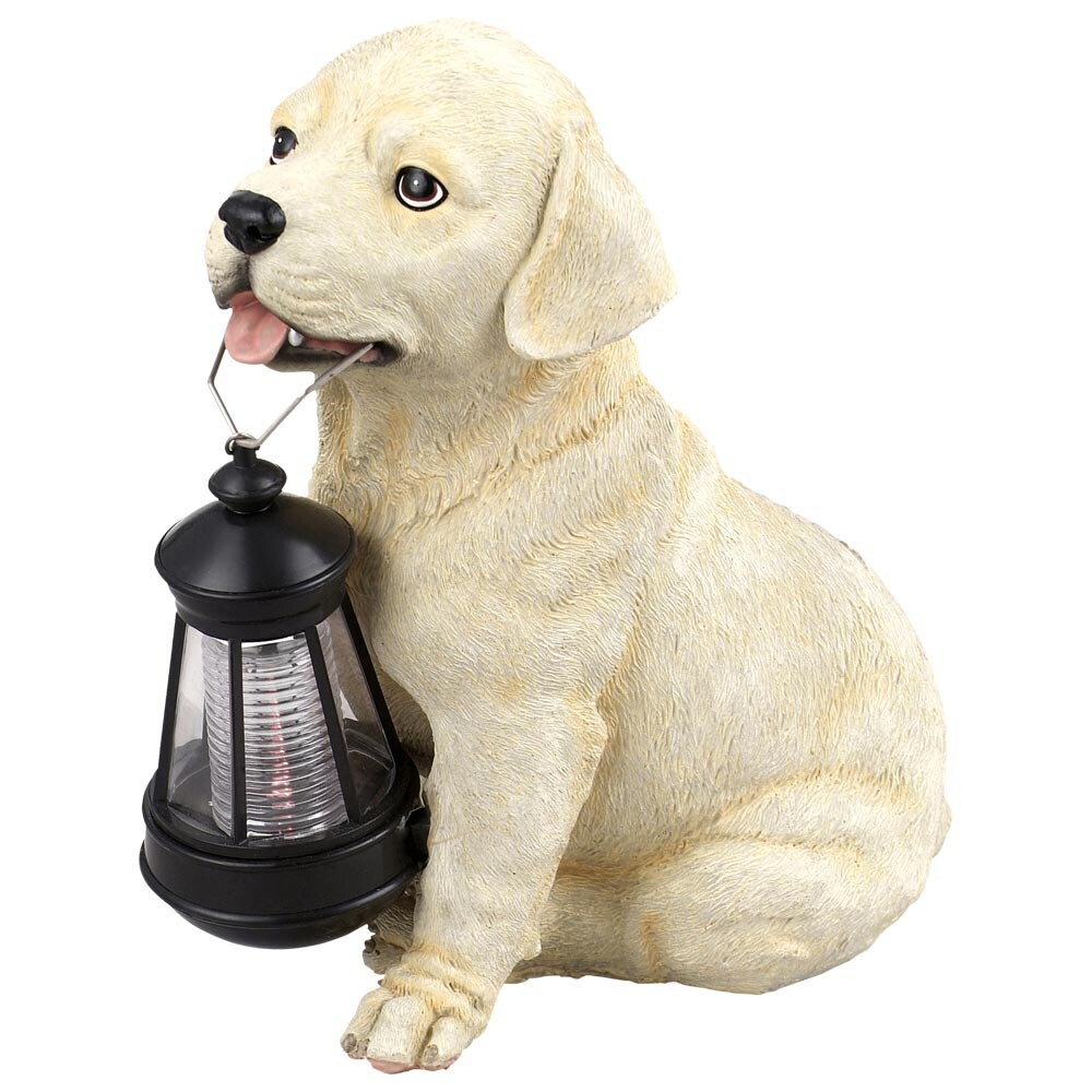 LED Solarleuchte, Hund Labrador mit Laterne, H 24 cm | 09007371181988