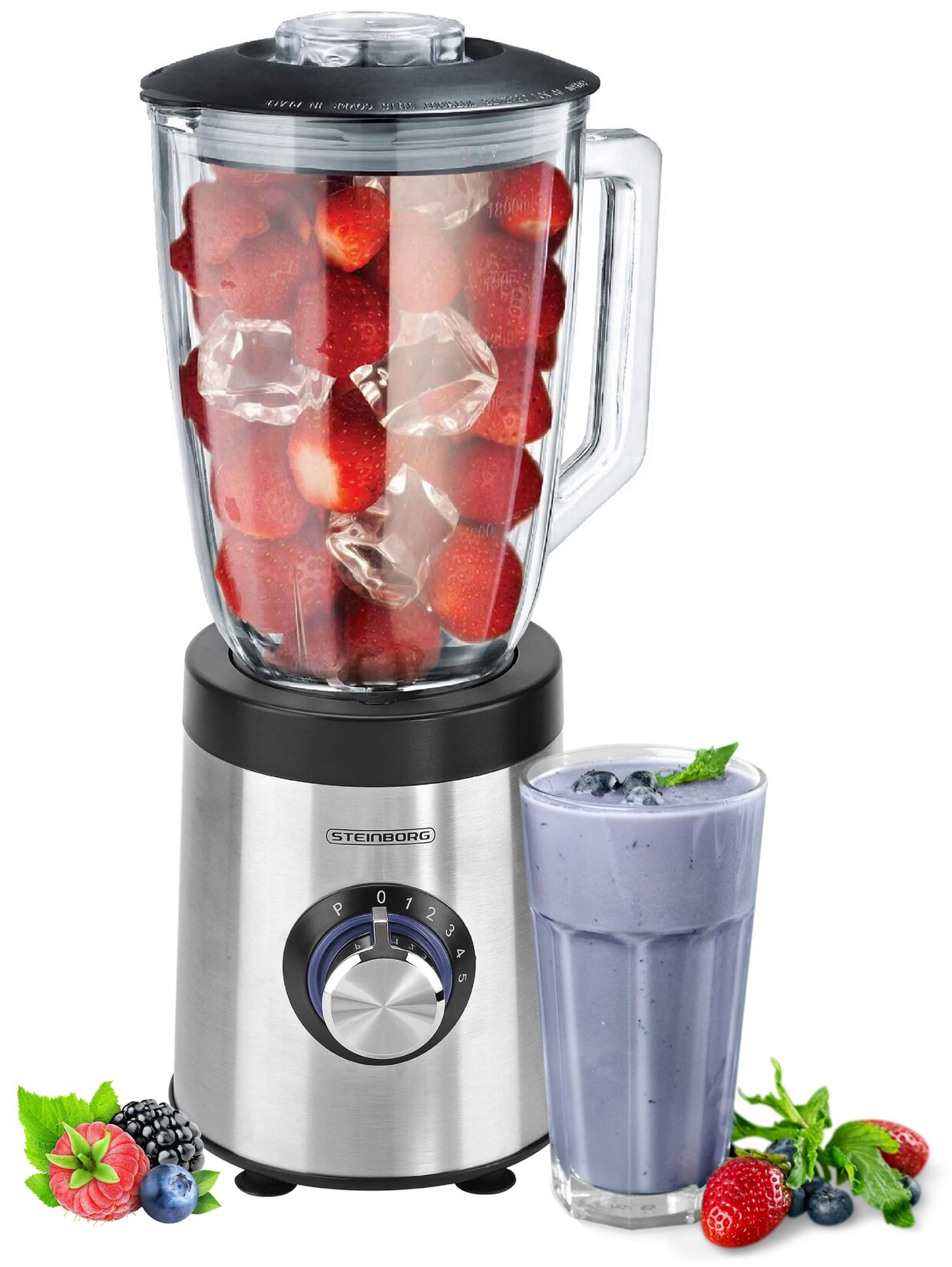 Glas Standmixer BPA-frei 5 Stufen+Pulsfunktion  800W