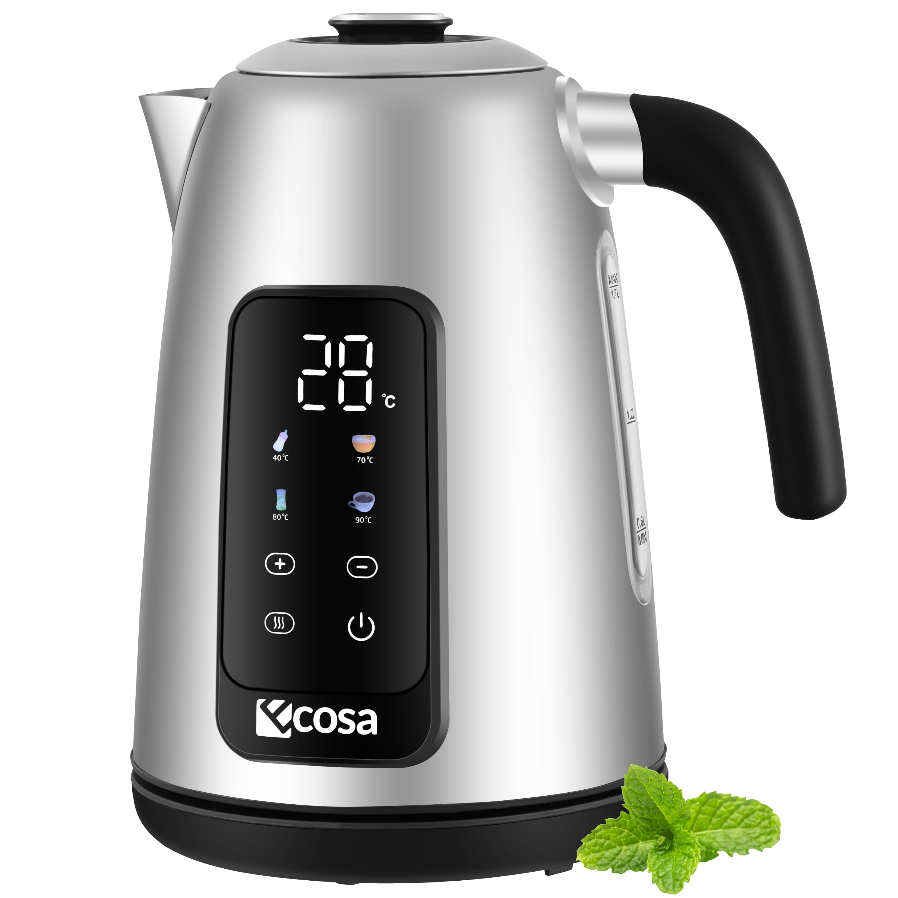 Ecosa Edelstahl Wasserkocher mit Temperatureinstellung 1,7L 2200W - Bild 1
