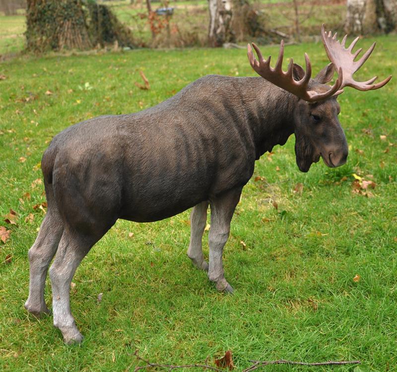 Dazikemo Dekofigur Gartenfigur Elch 65 x 26 x 44 cm - Bild 1