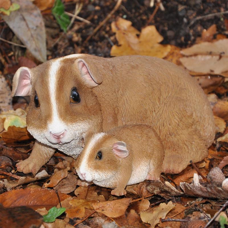 Dazikemo Meerschweinchen Mutter+Kind - Bild 1