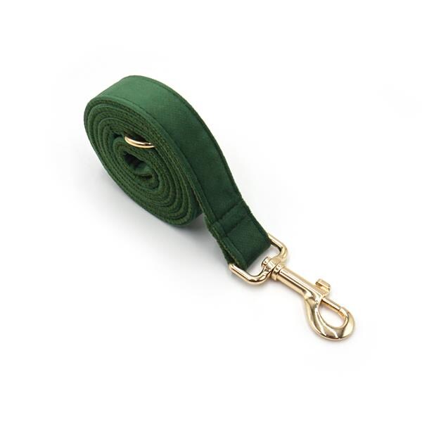 Dazikemo Hundeleine Forest - Bild 1