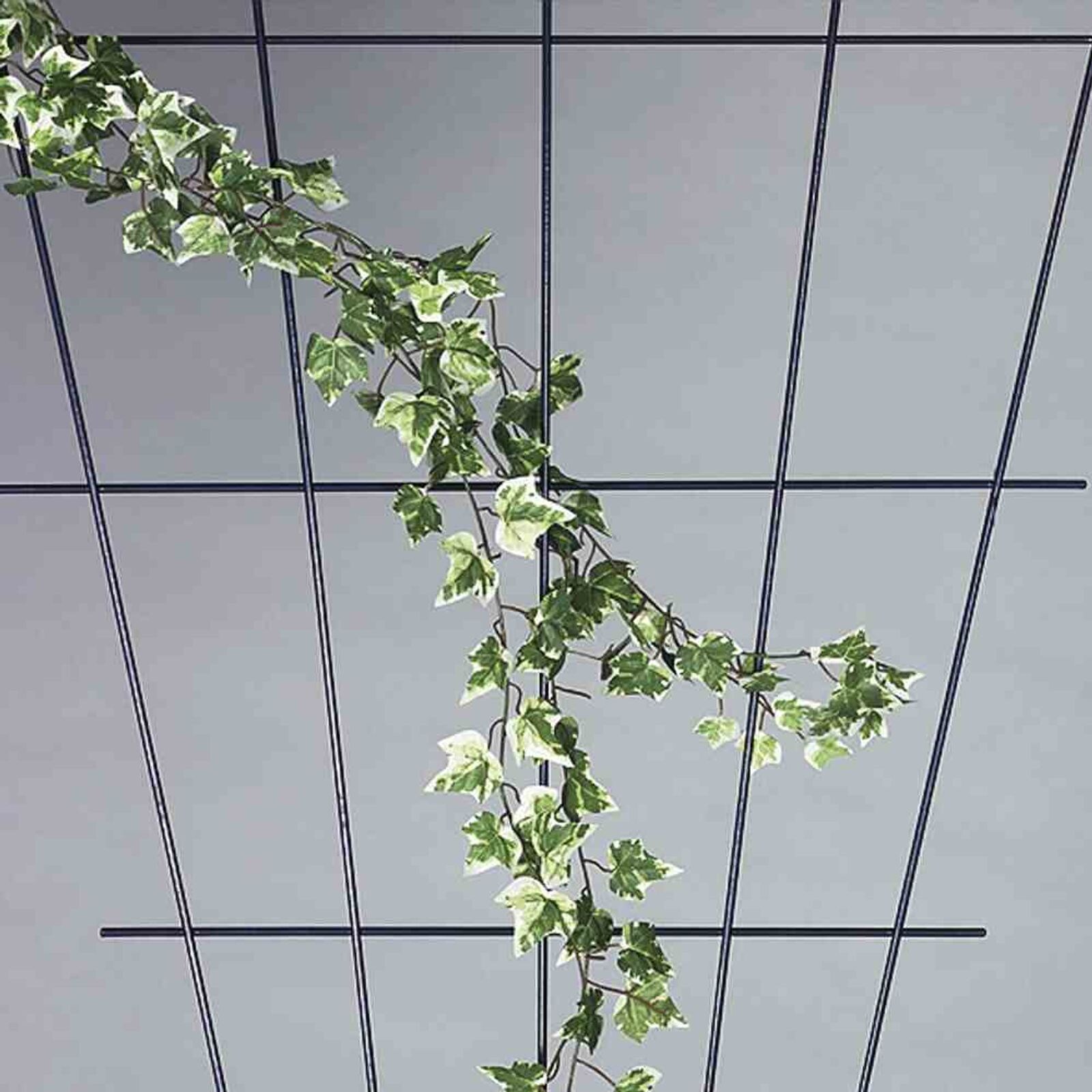 Siena Garden Rosenspalier V-Form braun 150 x 75 cm