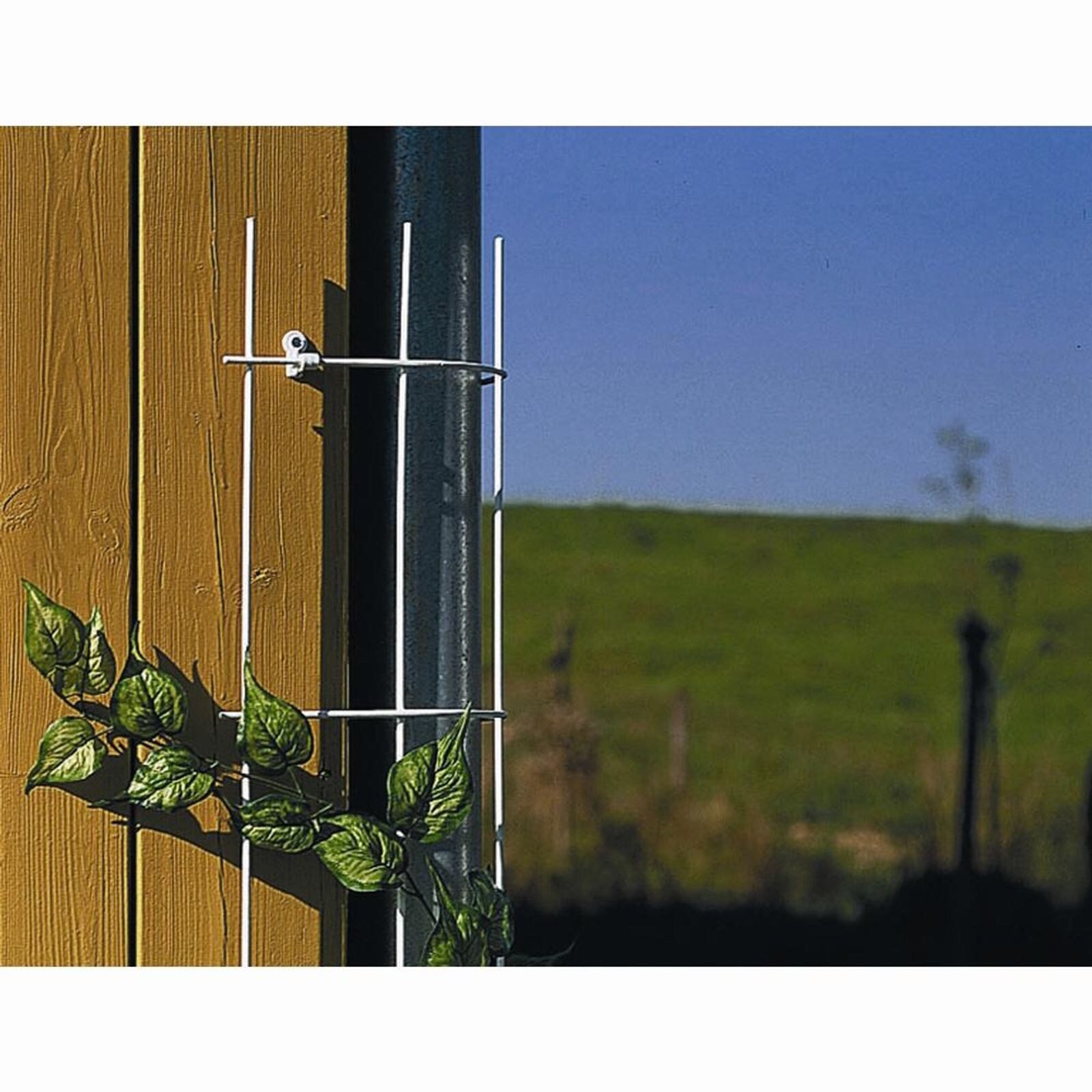 Siena Garden Fallrohrgitter 150 cm weiß für Fallrohr bis Ø 150 mm