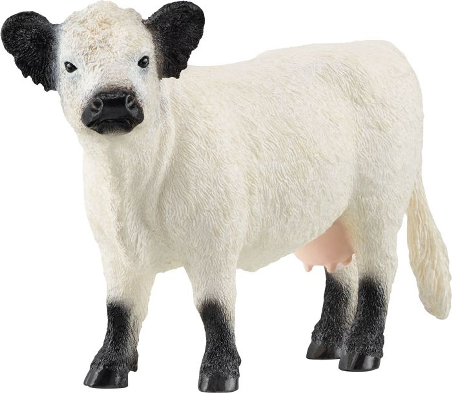 Schleich Galloway Rind - Bild 1