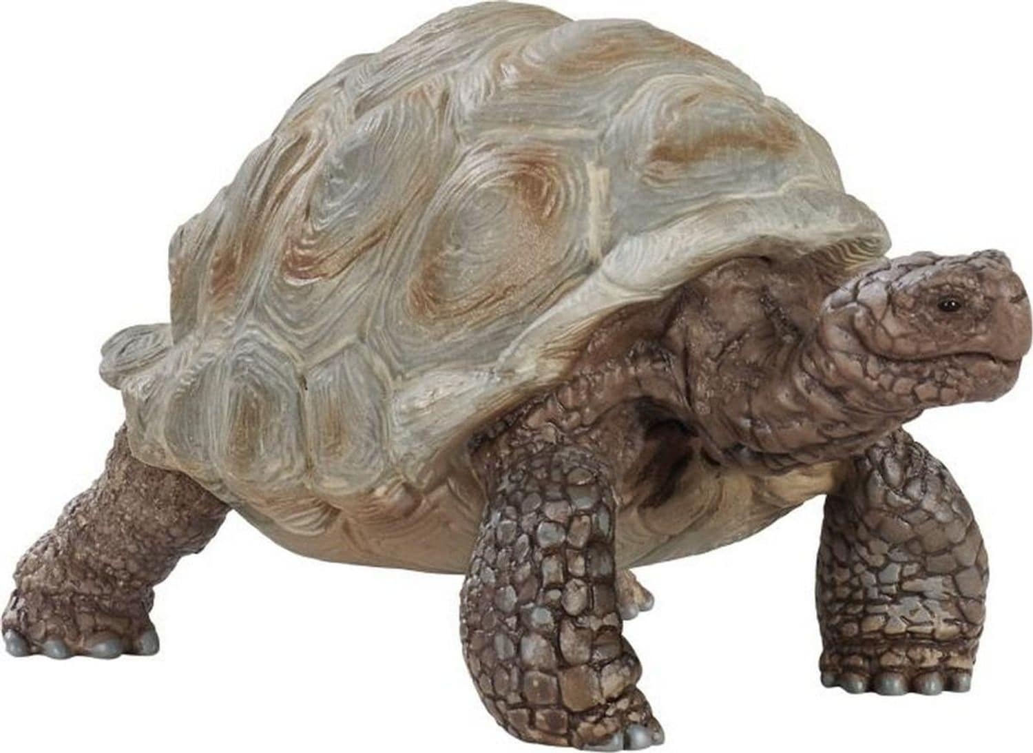 Schleich Riesenschildkr&ouml;te - Bild 1